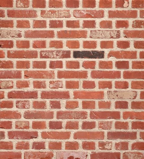 Terca Recup Molenlandse Rijnvorm
